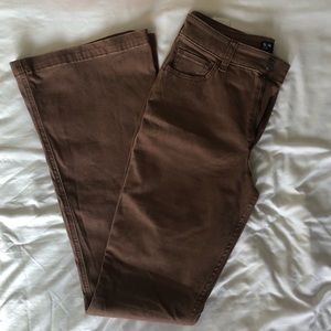 Brand New Hollister bootcut pants! Fits best if you’re taller